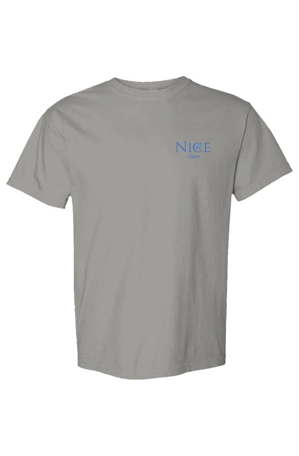 Nice Blue Chair Left Embroidered T-Shirt in Grey